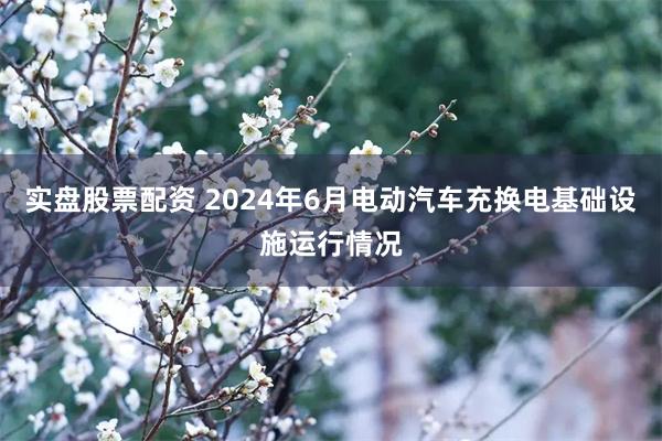 实盘股票配资 2024年6月电动汽车充换电基础设施运行情况