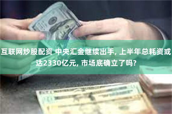 互联网炒股配资 中央汇金继续出手, 上半年总耗资或达2330亿元, 市场底确立了吗?