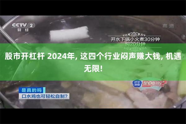 股市开杠杆 2024年, 这四个行业闷声赚大钱, 机遇无限!