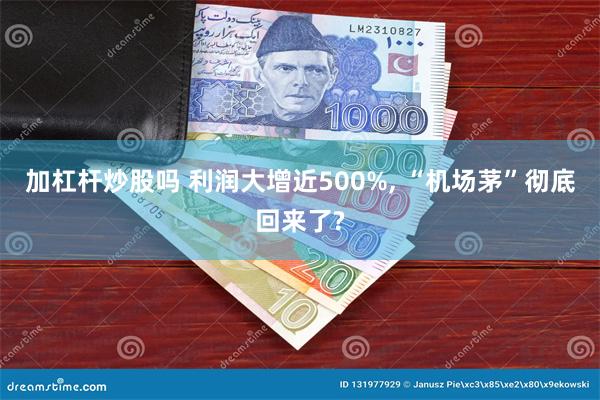 加杠杆炒股吗 利润大增近500%, “机场茅”彻底回来了?