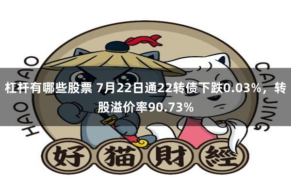 杠杆有哪些股票 7月22日通22转债下跌0.03%，转股溢价率90.73%