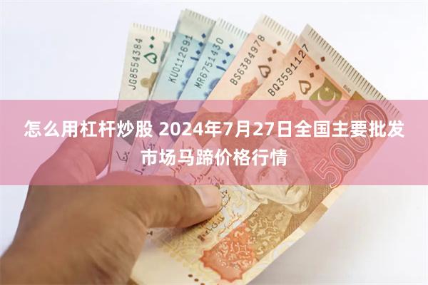 怎么用杠杆炒股 2024年7月27日全国主要批发市场马蹄价格行情