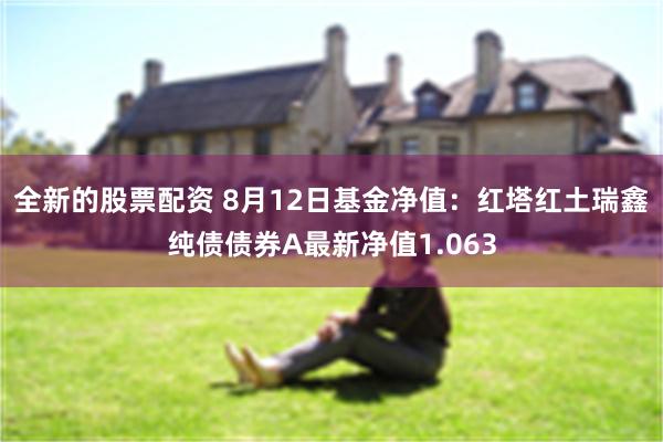 全新的股票配资 8月12日基金净值：红塔红土瑞鑫纯债债券A最新净值1.063