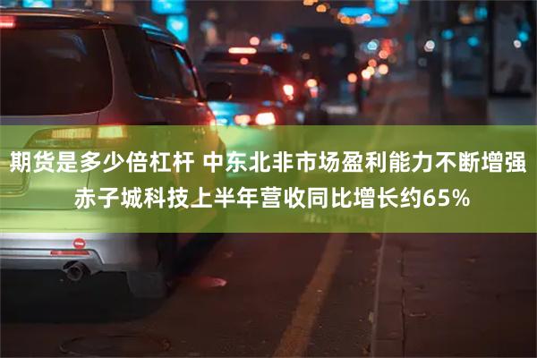 期货是多少倍杠杆 中东北非市场盈利能力不断增强 赤子城科技上半年营收同比增长约65%