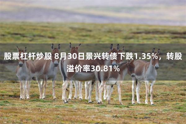 股票杠杆炒股 8月30日景兴转债下跌1.35%，转股溢价率30.81%