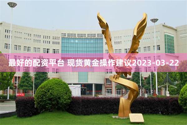 最好的配资平台 现货黄金操作建议2023-03-22