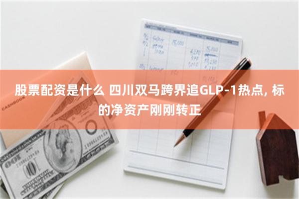 股票配资是什么 四川双马跨界追GLP-1热点, 标的净资产刚刚转正