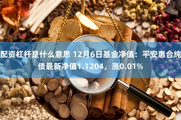 配资杠杆是什么意思 12月6日基金净值：平安惠合纯债最新净值1.1204，涨0.01%