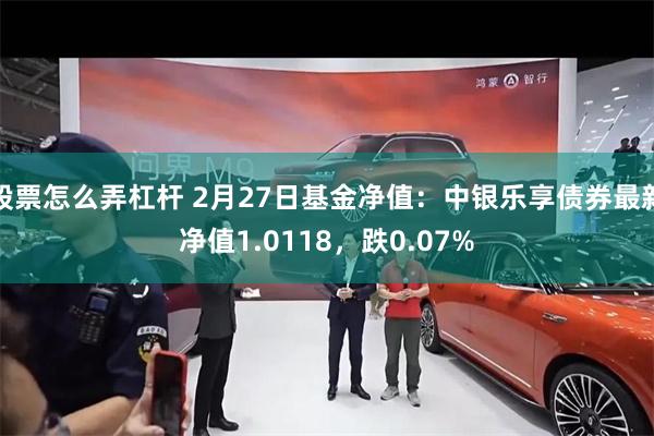 股票怎么弄杠杆 2月27日基金净值：中银乐享债券最新净值1.0118，跌0.07%